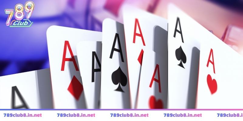 Giá trị thông tin và kinh nghiệm trong chuyên mục dành cho tân thủ 2026