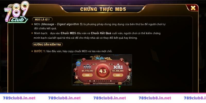 Cách chơi tài xỉu chẵn lẻ trong thực tế mà bạn cần phải nắm